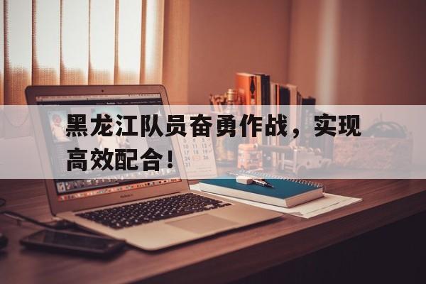 爱游戏入口-黑龙江队现役队员名单